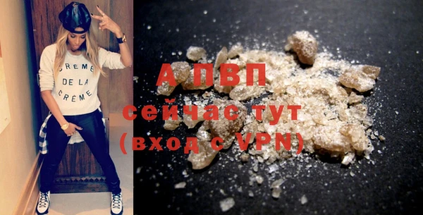 стафф Покачи