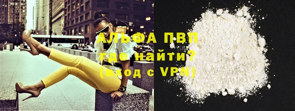 стафф Покачи
