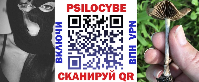 площадка клад  где можно купить   Касимов  Галлюциногенные грибы ЛСД 